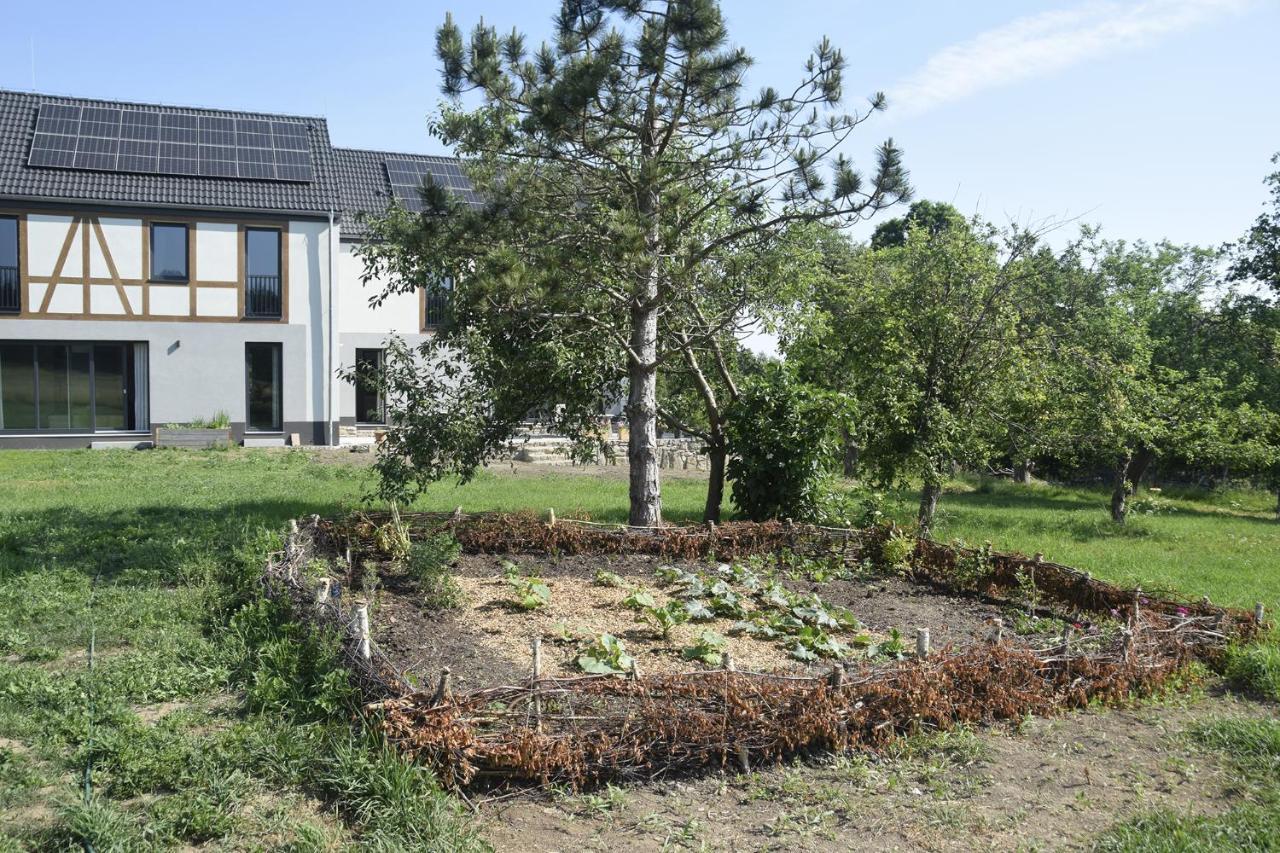 Вилла Nowa Kamienica 11 Стара-Каменица Экстерьер фото